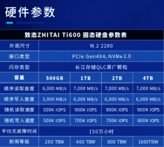 致态（ZhiTai）长江存储 1TB SSD固态硬盘 NVMe M.2接口 Ti600系列 (PCIe 4.0 )