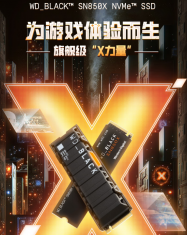 西部数据Blue SN850X SSD固态硬盘 M.2接口PCI E4.0（NVMe协议）